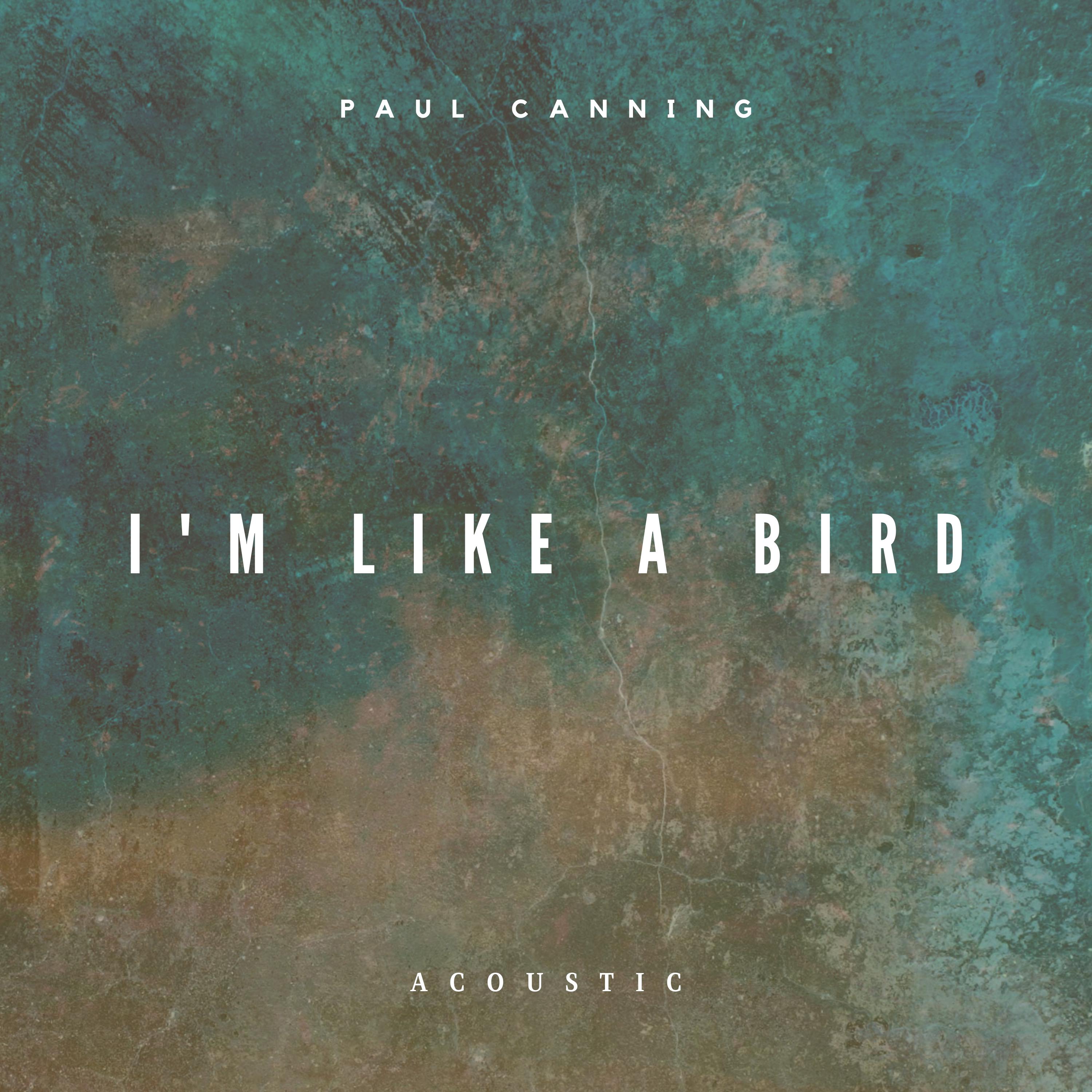 Paul Canning - I'm Like a Bird (Acoustic)