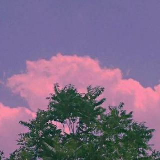 云朵偷喝了酒|它的脸红成了晚霞 ☀︎