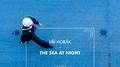 The Sea at Night专辑