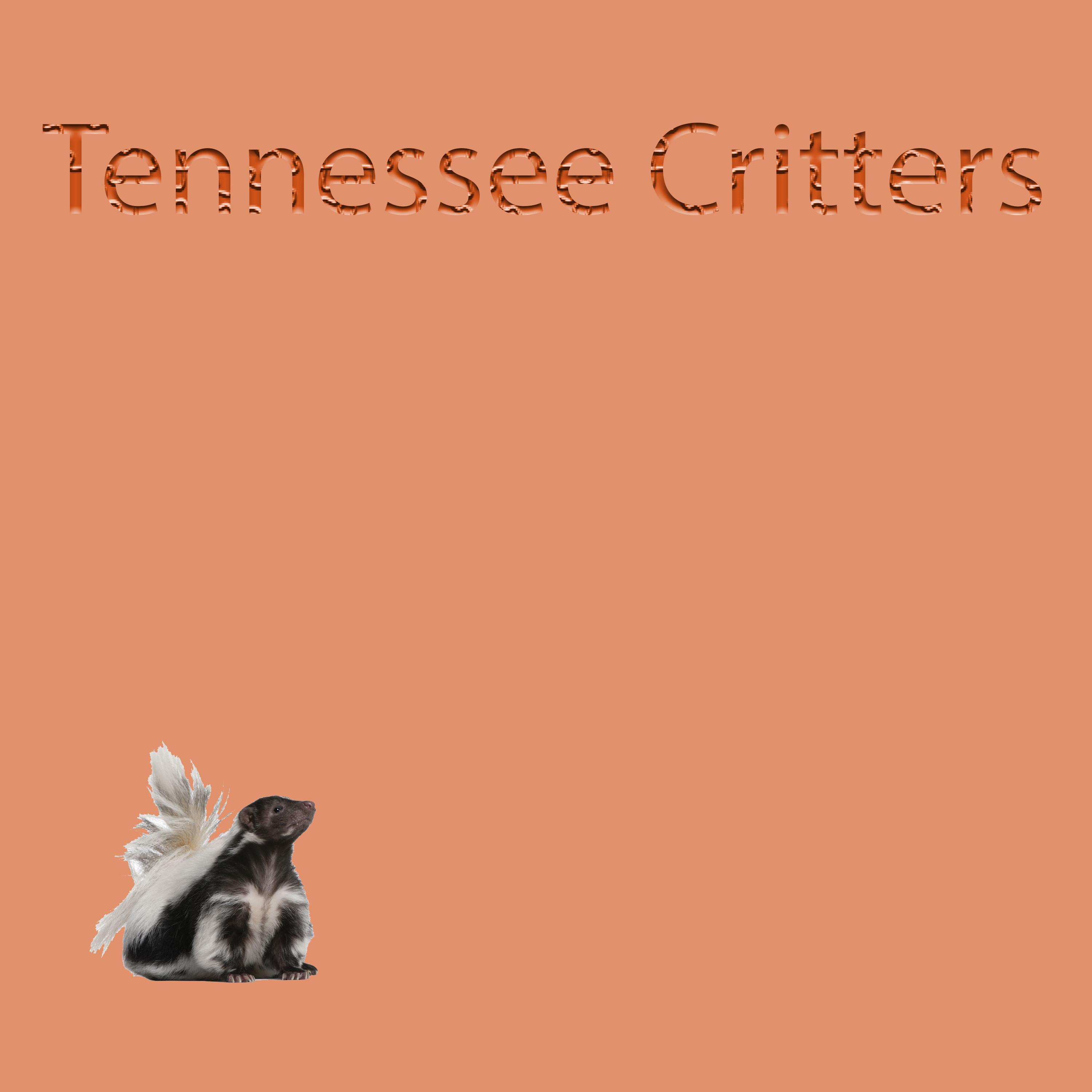 Tennessee Critters