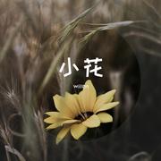 小花 伴奏