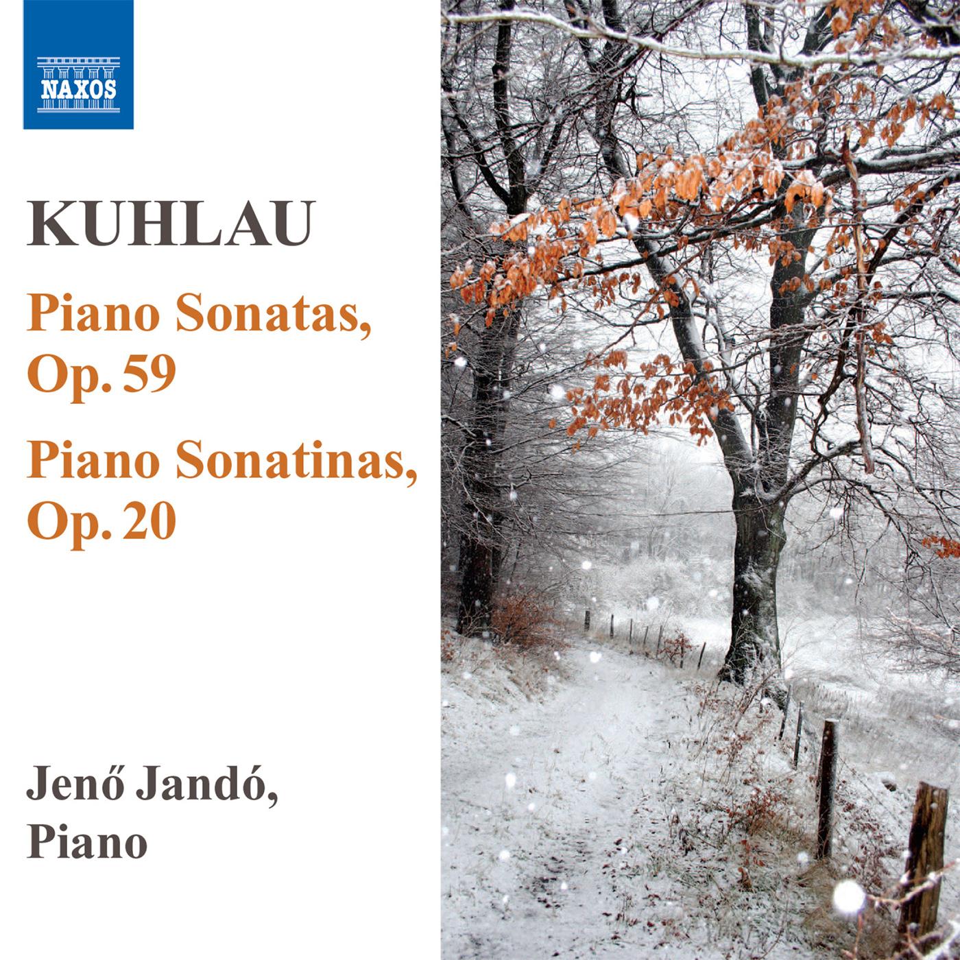 Piano Sonatina in C Major, Op. 20, No. 1:III. Rondo: Allegro