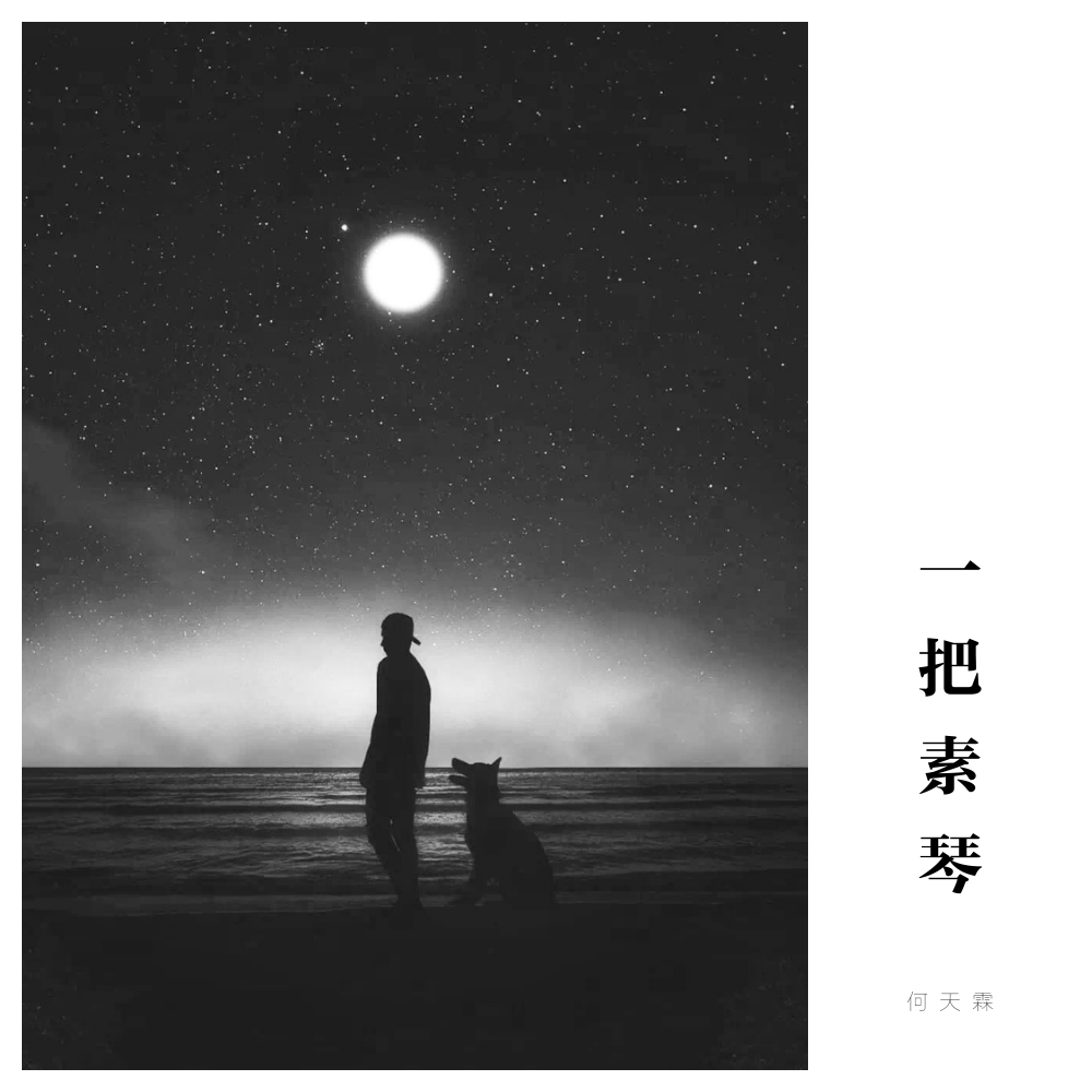 一把素琴