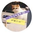 像风走了八千里