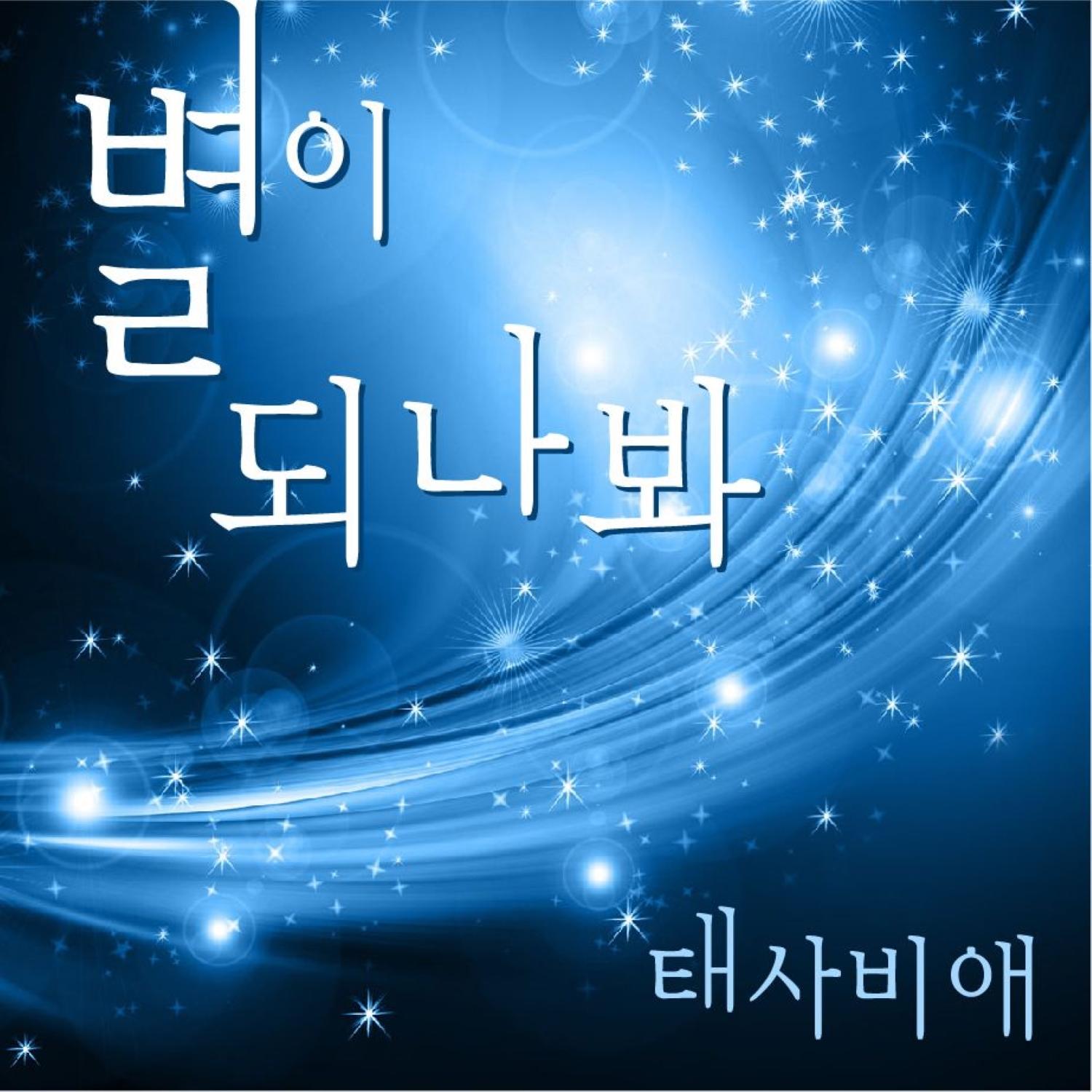 태사비애 Digital Single(별이 되나봐)