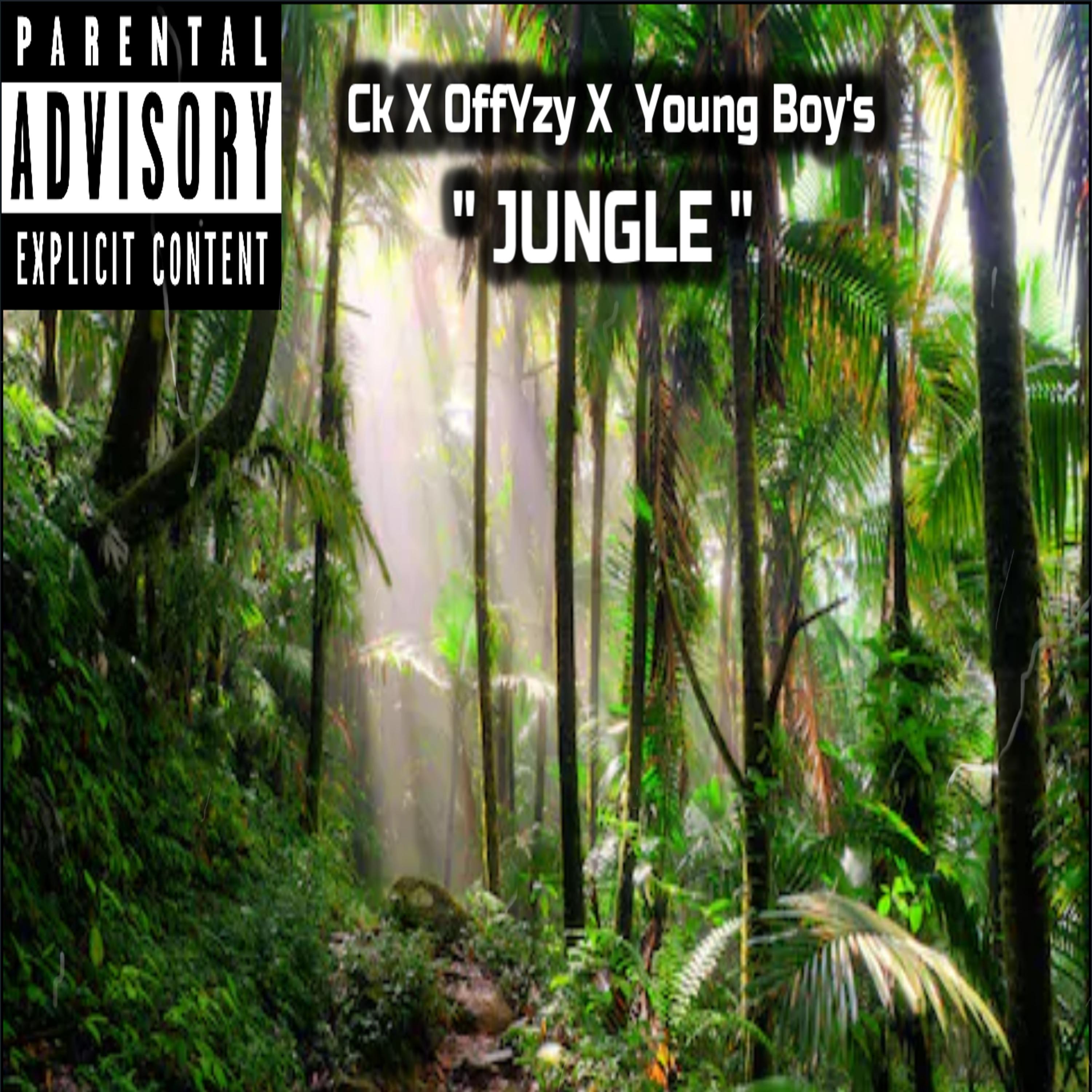 Jungle