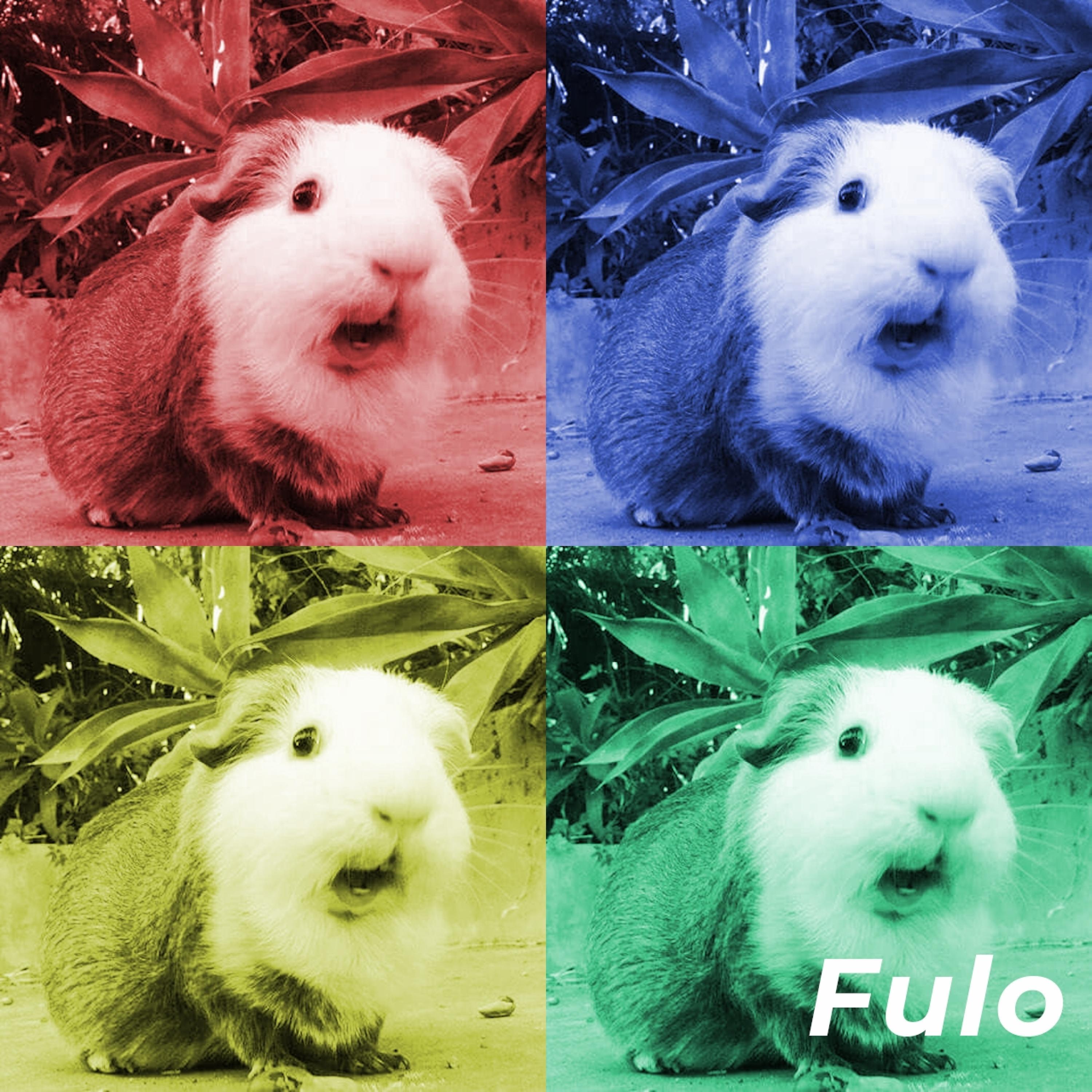 Fulo