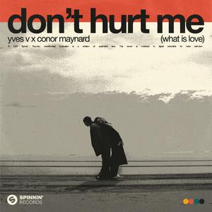 Yves V & Conor Maynard - Don't Hurt Me (What Is Love) (Instrumental) 原版无和声伴奏 （降5半音）