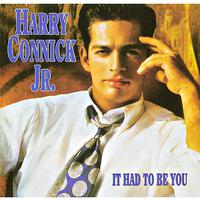 Forever, For Now - Harry Connick Jr. (karaoke)