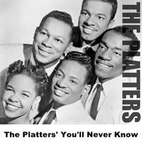The Platters - You'll Never, Never Know (PT karaoke) 带和声伴奏