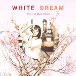 White Dream专辑