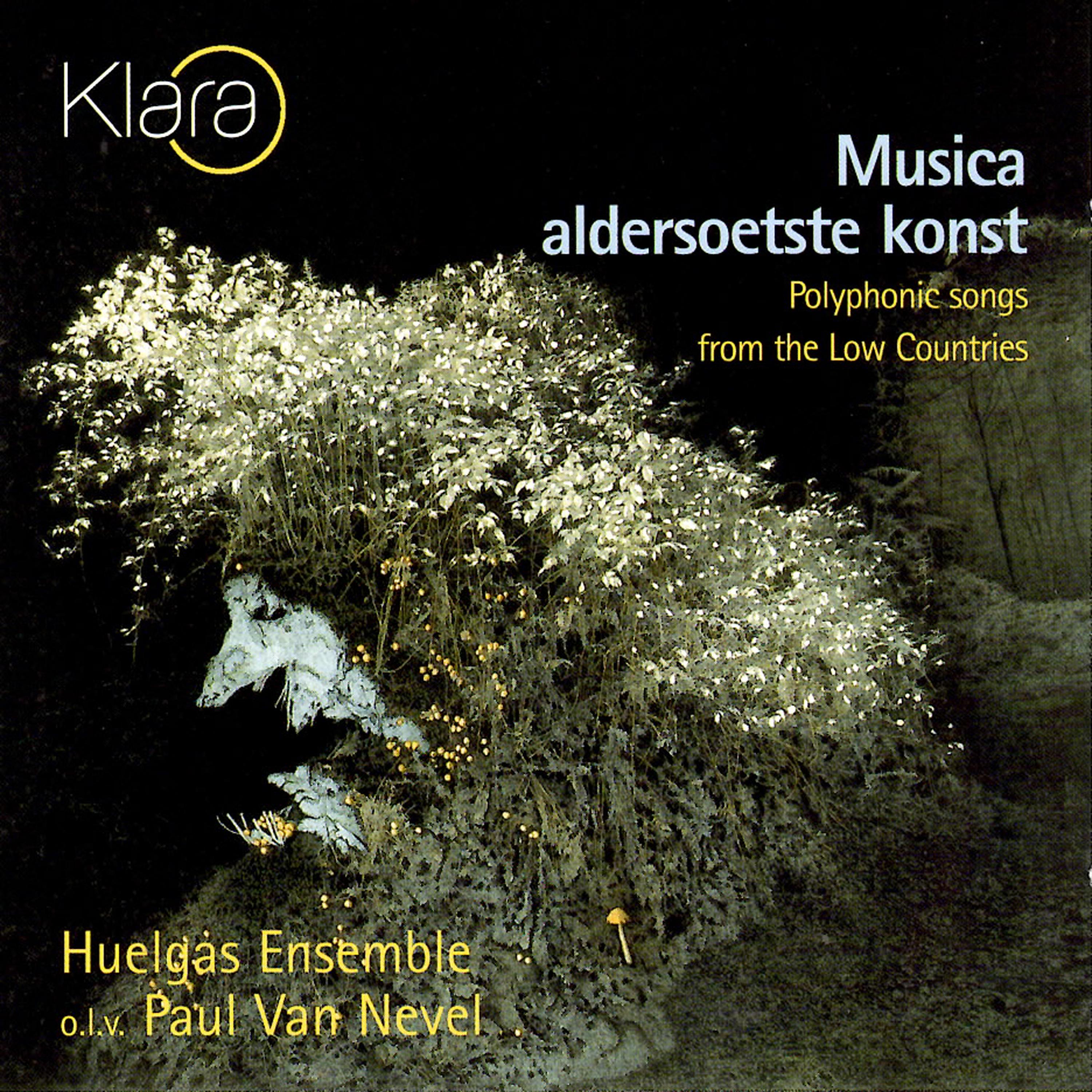 Musica Aldersoetste Konst - Polyphonic Songs from the Low Countries