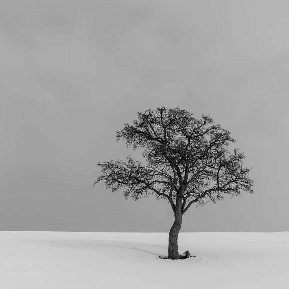 思念(cover：黄宣)