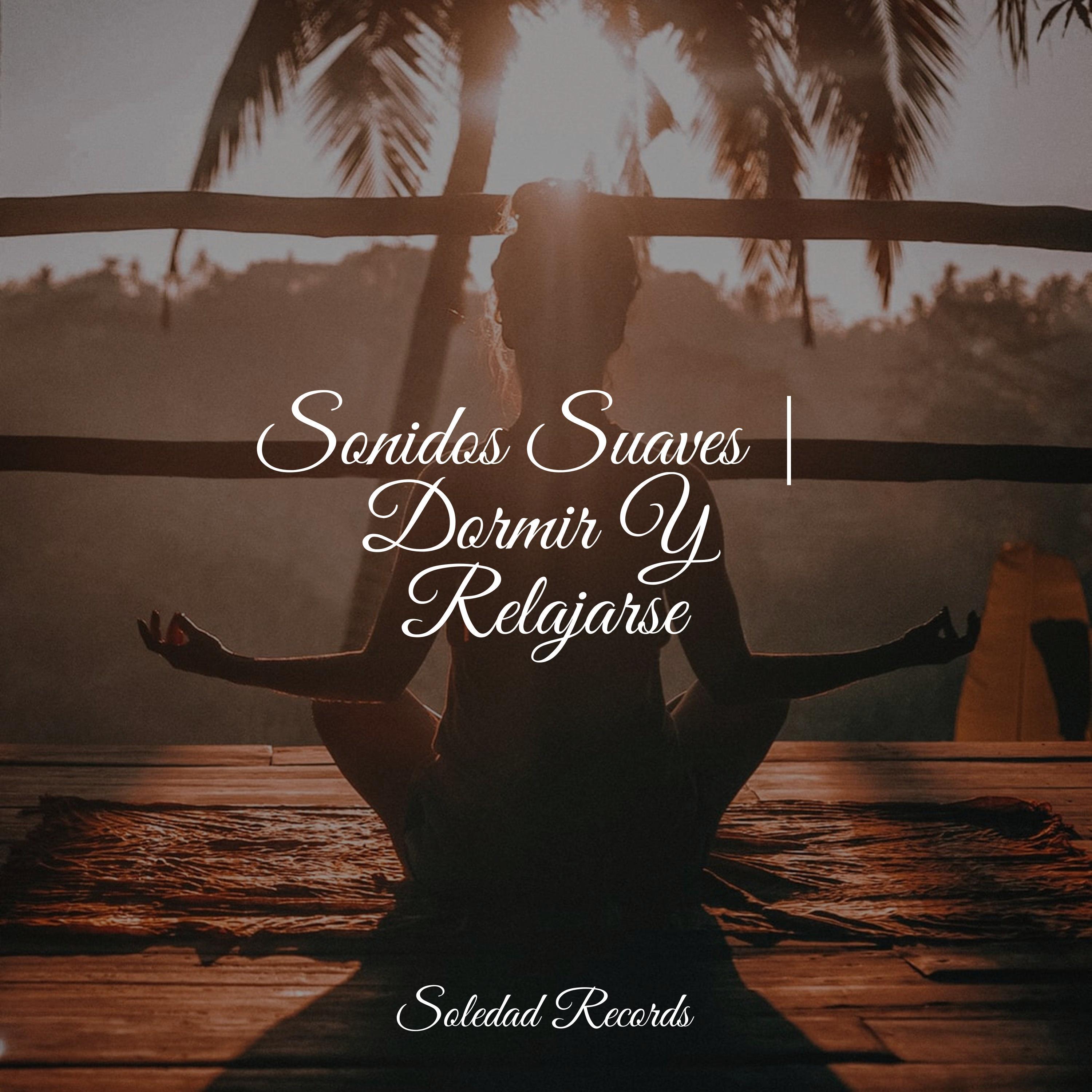 Sonidos Suaves | Dormir Y Relajarse