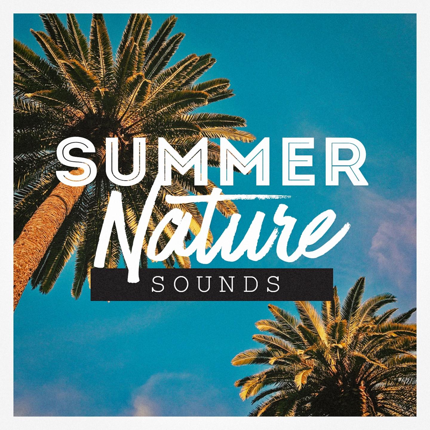 Summer Nature Sounds专辑