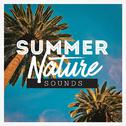 Summer Nature Sounds专辑