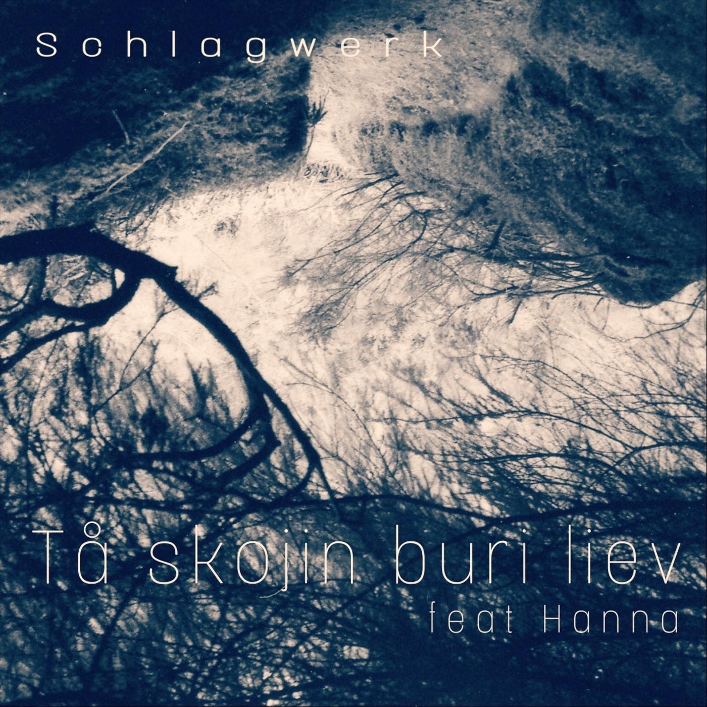 Tå skojin buri liev