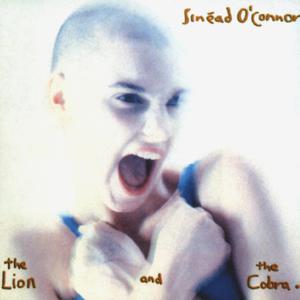 Sinéad O'Connor - Drink Before the War (BB Instrumental) 无和声伴奏