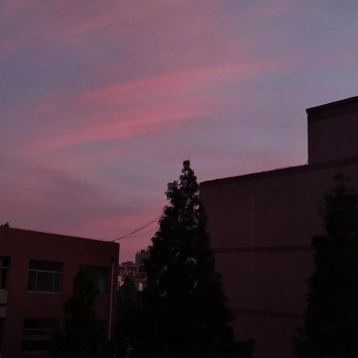 姜鸽-不要停下（翻自 滞留针）