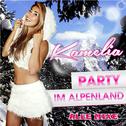 Party im Alpenland