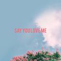 Say You Love Me (Remix)专辑