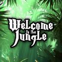 Welcome to the Jungle专辑