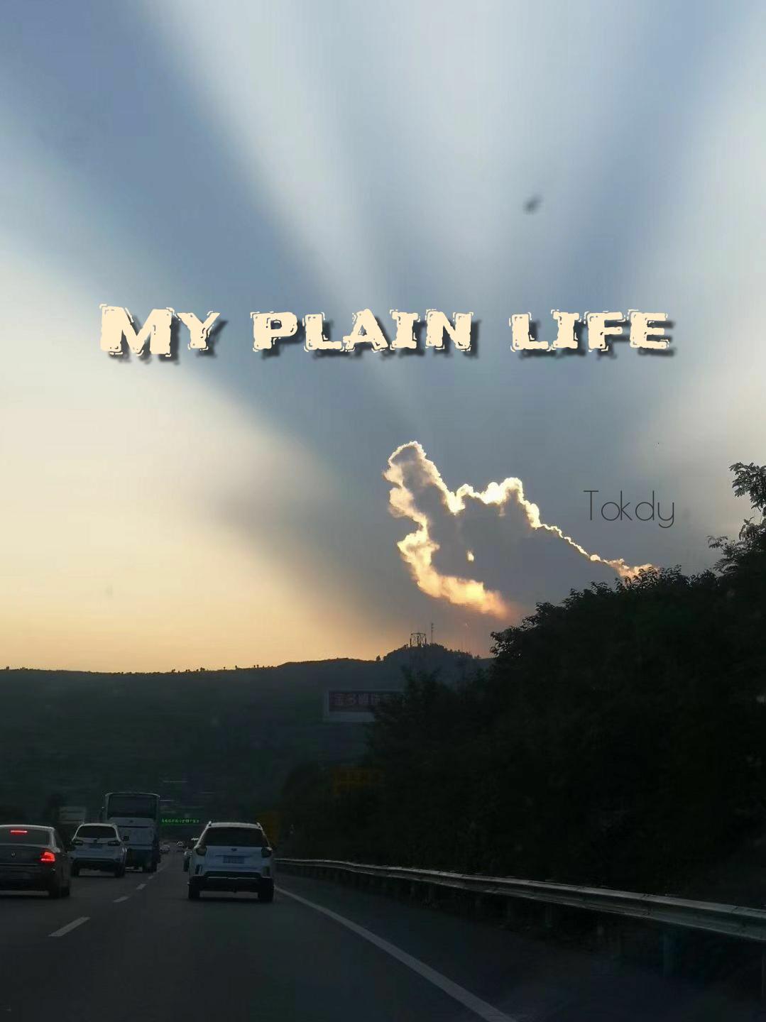 MY PLAIN LIFE专辑