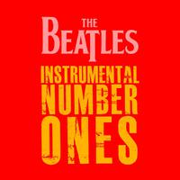 Within You Without You - The Beatles ( Instrumental )