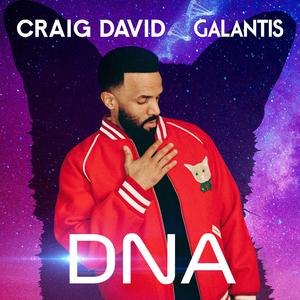 Craig David & Galantis - DNA (Instrumental) 原版无和声伴奏