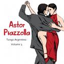 Tango Argentino, Vol.3专辑