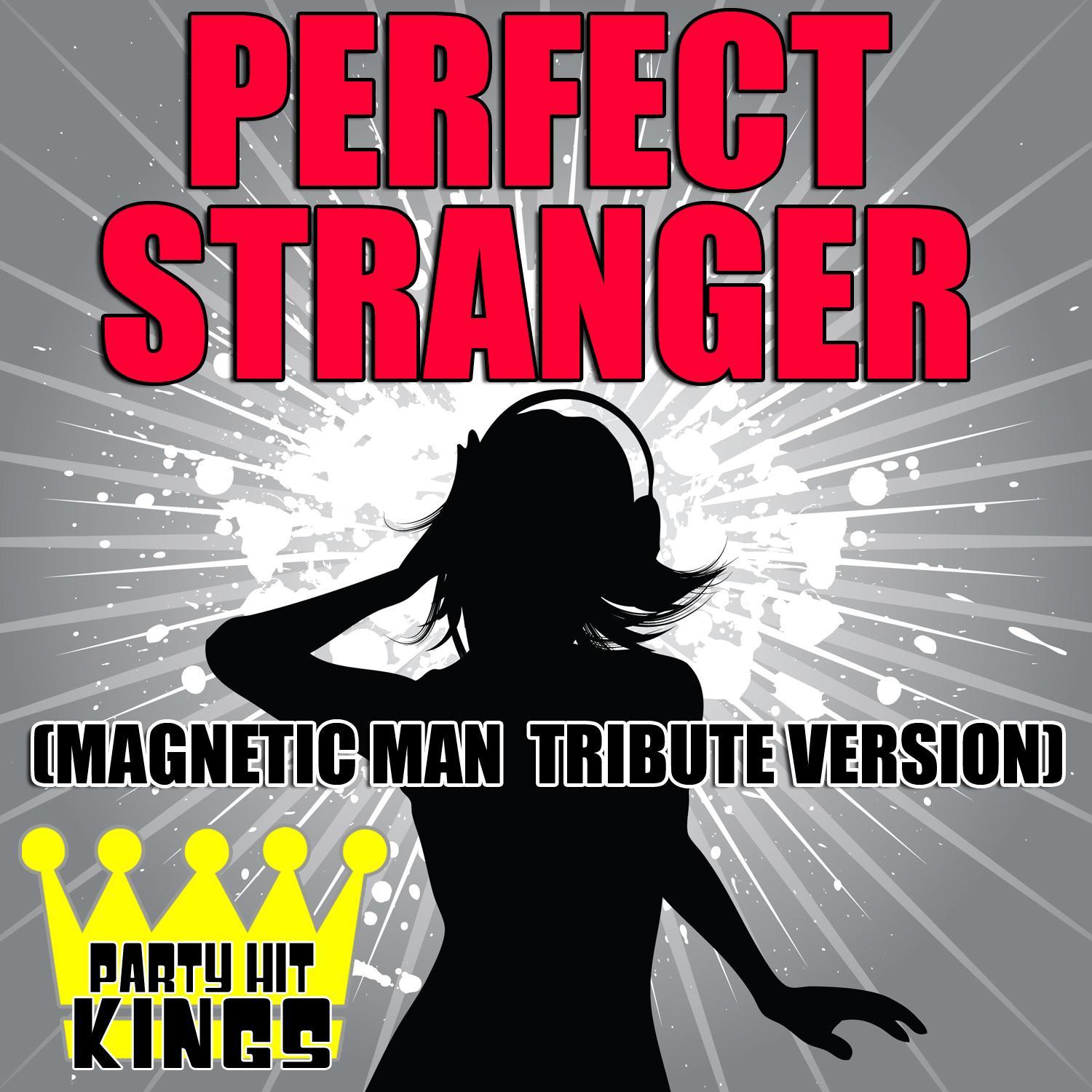 Perfect Stranger (Magnetic Man Tribute Version)
