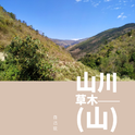 山川草木——(山)专辑