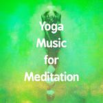 Yoga Music for Meditation专辑