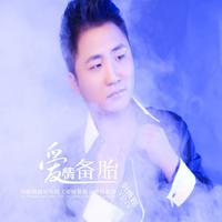 刘维刚 - 爱情备胎(阿圣DJ版)