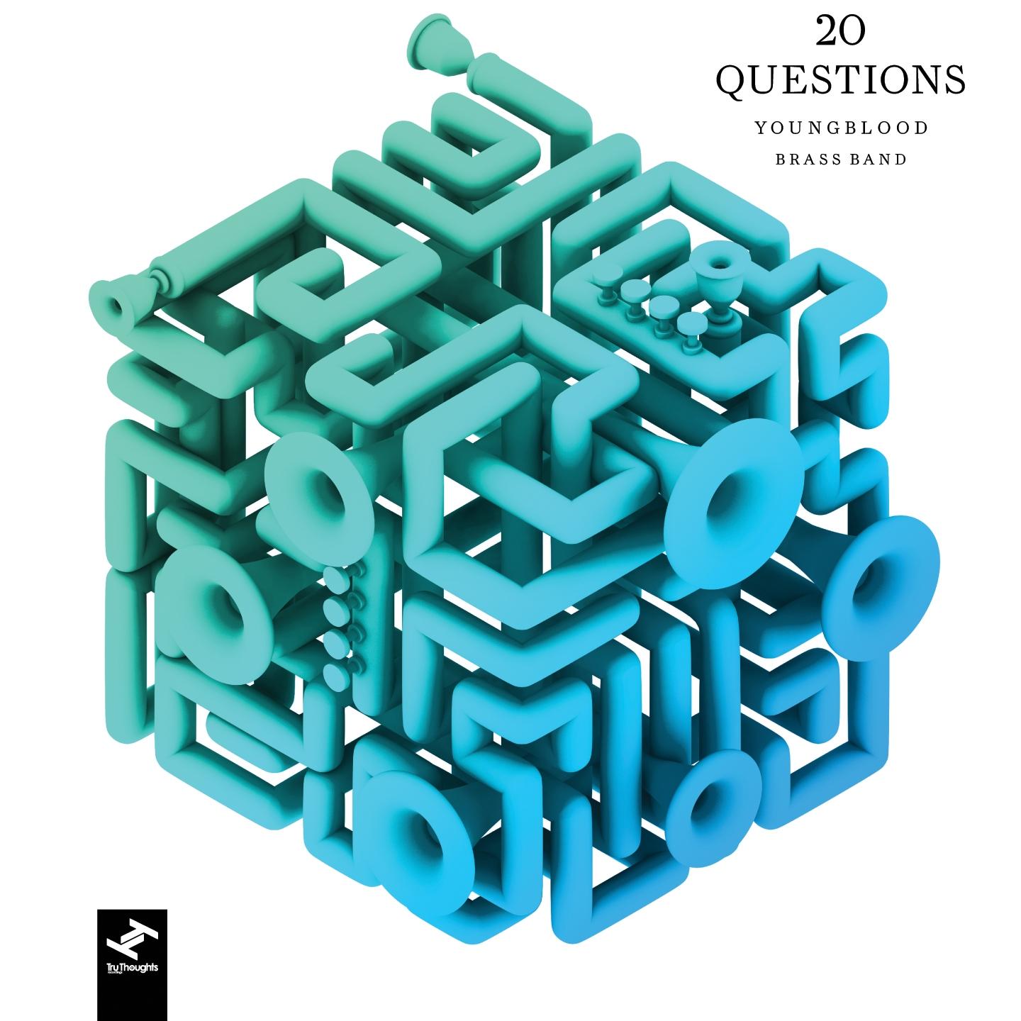 20 Questions