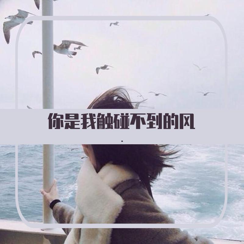 你是我触碰不到的风