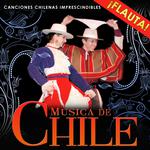 Songs Von Chile. Chilenische traditionelle Musik专辑