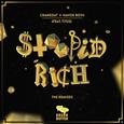 Stoopid Rich: The Remixes