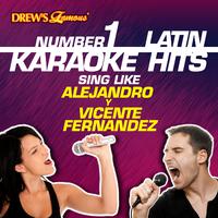 原版伴奏   Aca Entre Nos - Vicente Fernandez (karaoke)