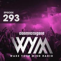 Wake Your Mind Radio 293