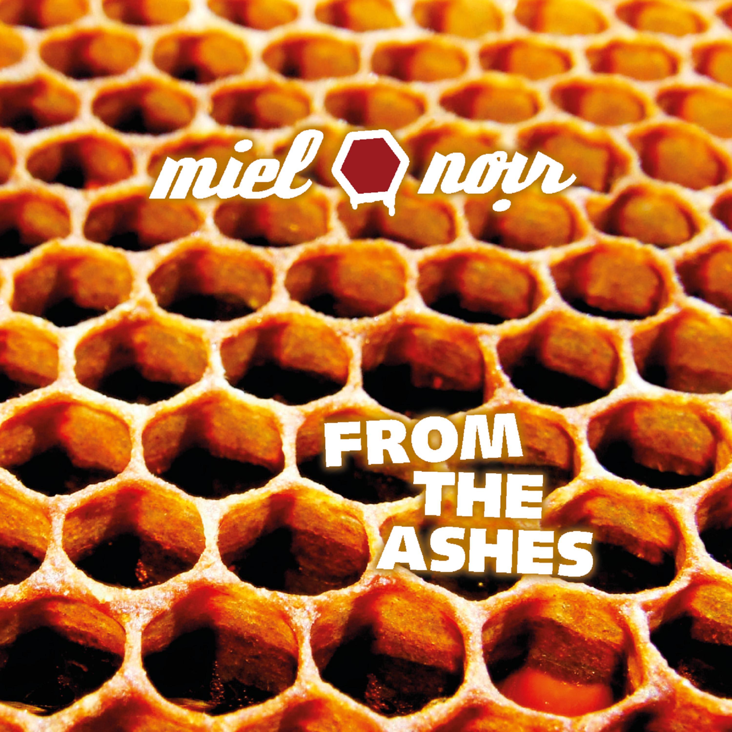 From the Ashes