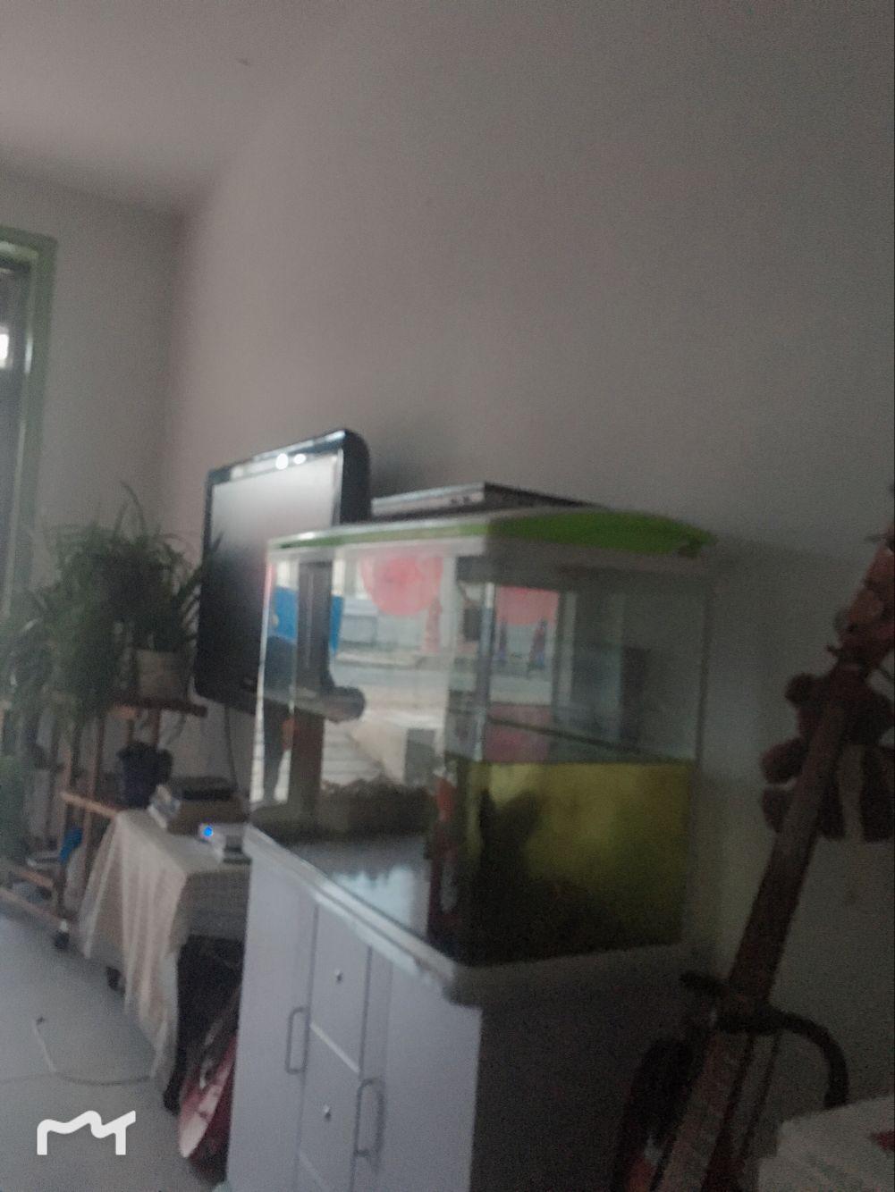 爱已成歌专辑