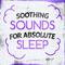 Soothing Sounds for Absolute Sleep专辑