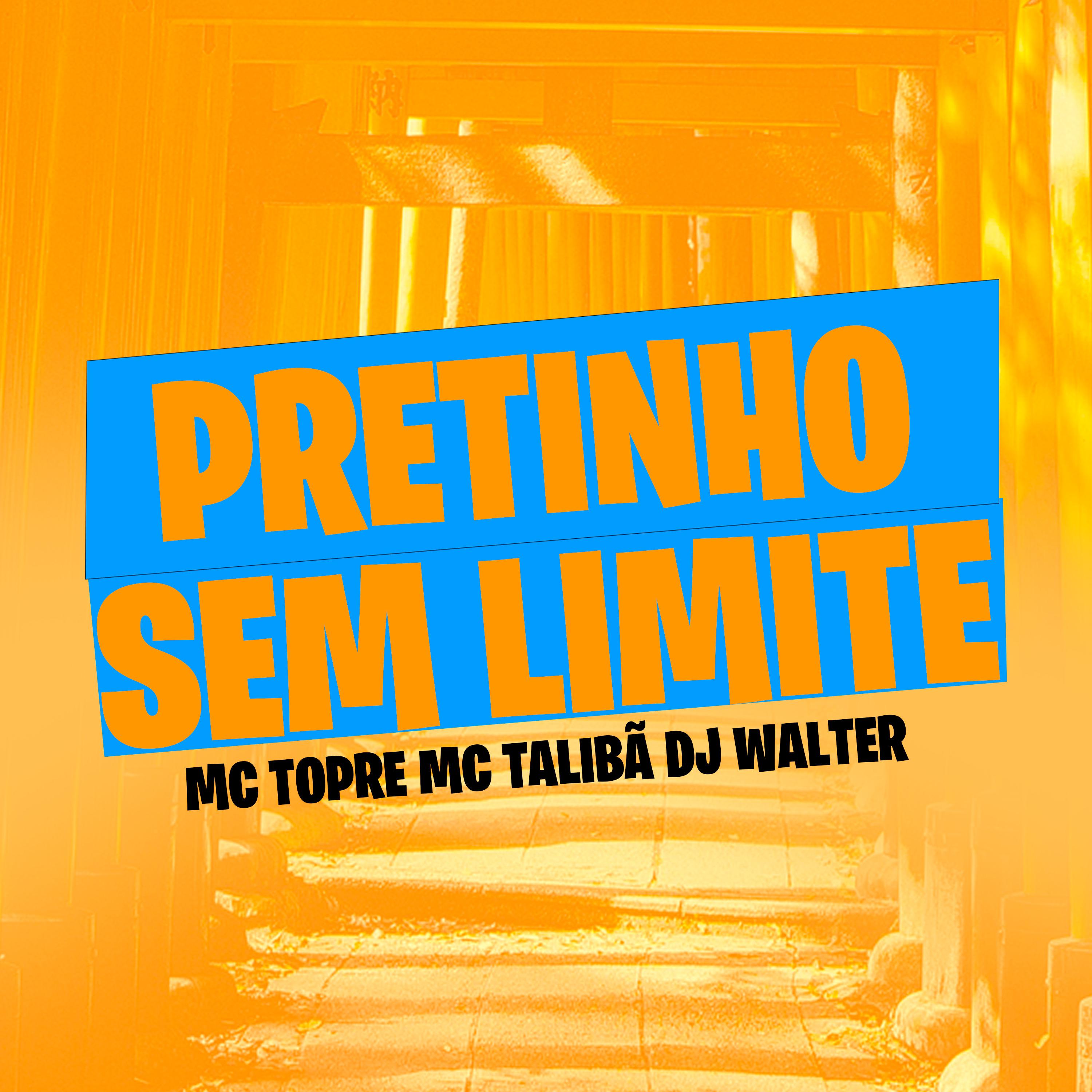 DJ Walter - Pretinho Sem Limite