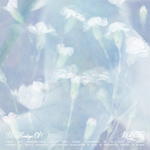 The 1st Album 'A Montage of ( )'专辑