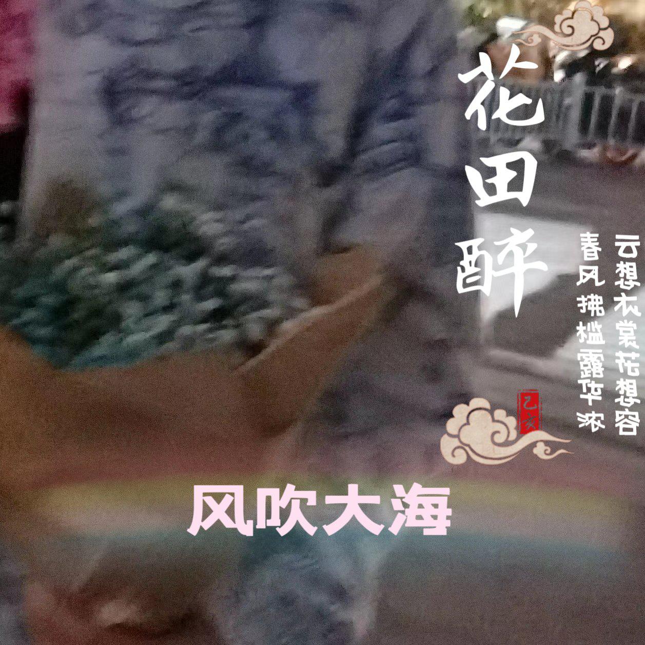 风吹大海