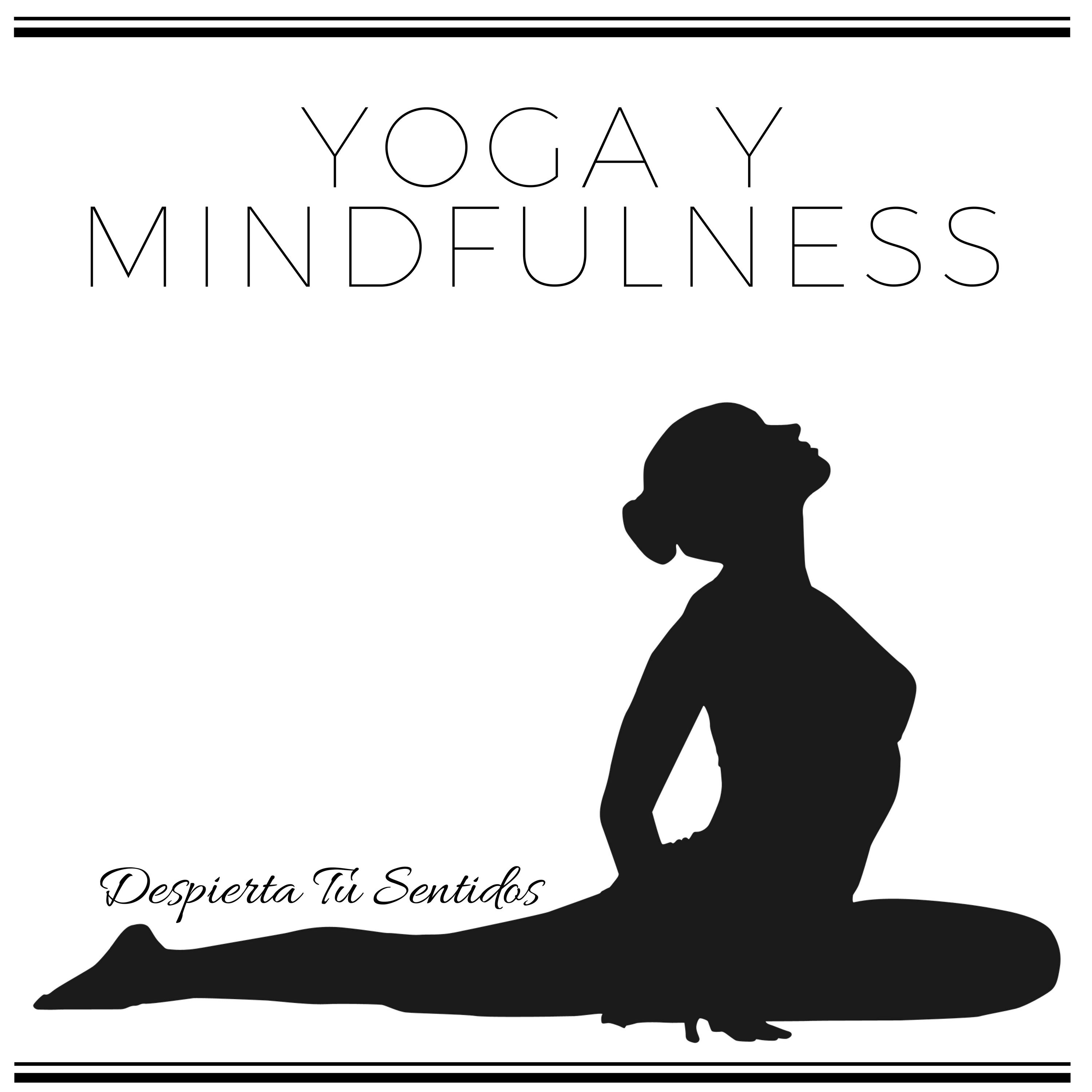 Yoga y Mindfulness - Despierta Tu Sentidos con Ruido Blanco专辑