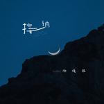 接纳专辑