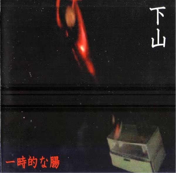 一時的な腸