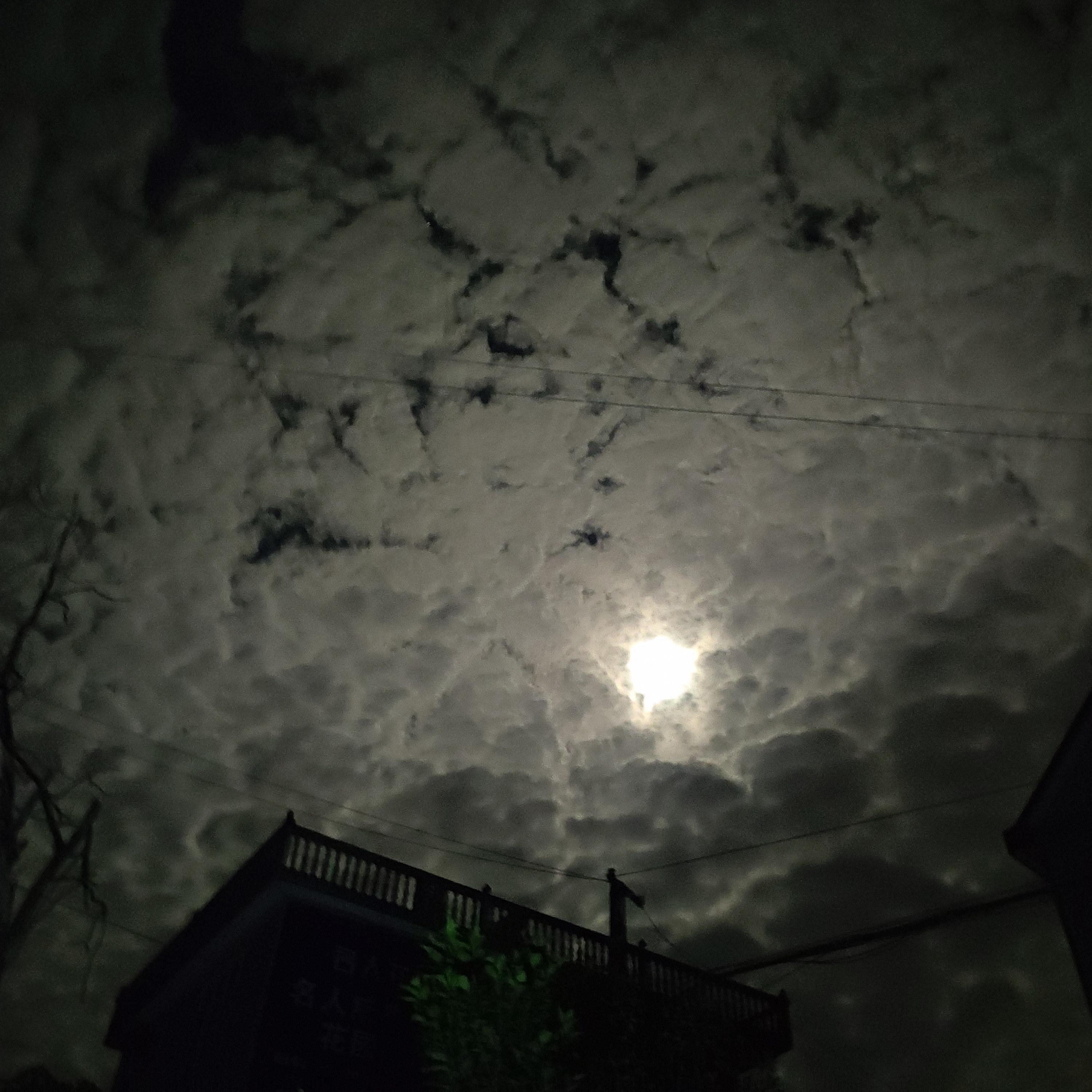 Young And Beautiful 钢琴版